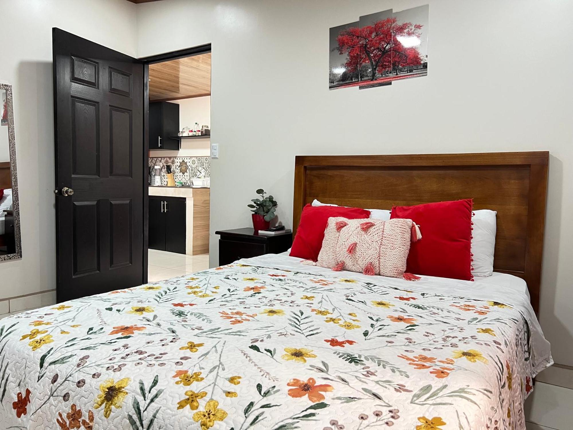 Apartamentos H Gonzalez #11#4 Alajuela Eksteriør billede